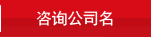 咨询公司名